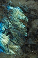 Blue Australe